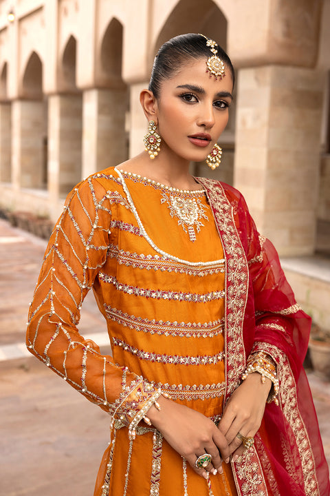 ROSHANI