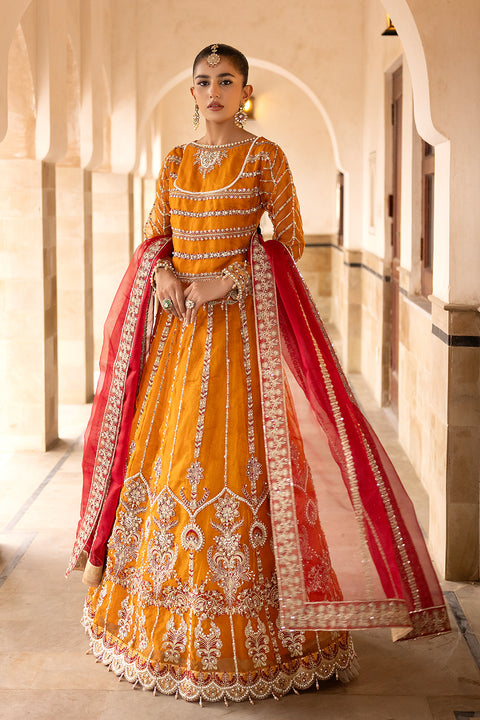 ROSHANI